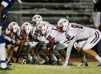 Thumbnail 1 in Stoneman Douglas @ Taravella photogallery.