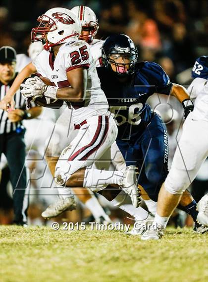 Thumbnail 2 in Stoneman Douglas @ Taravella photogallery.
