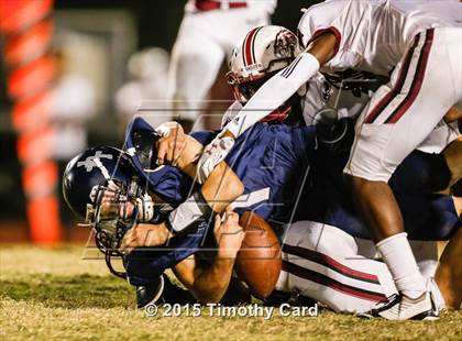 Thumbnail 2 in Stoneman Douglas @ Taravella photogallery.