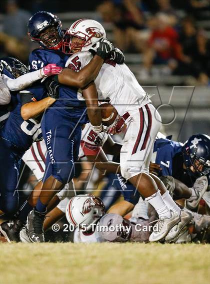 Thumbnail 2 in Stoneman Douglas @ Taravella photogallery.