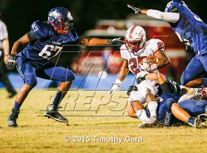 Thumbnail 1 in Stoneman Douglas @ Taravella photogallery.