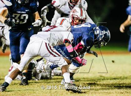 Thumbnail 1 in Stoneman Douglas @ Taravella photogallery.