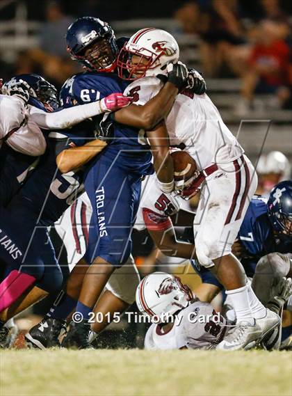 Thumbnail 1 in Stoneman Douglas @ Taravella photogallery.