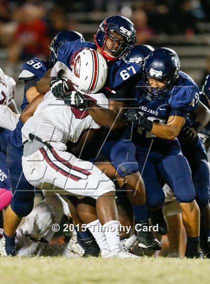 Thumbnail 1 in Stoneman Douglas @ Taravella photogallery.
