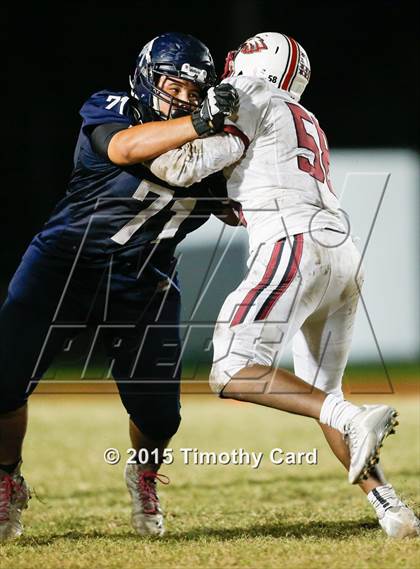 Thumbnail 3 in Stoneman Douglas @ Taravella photogallery.