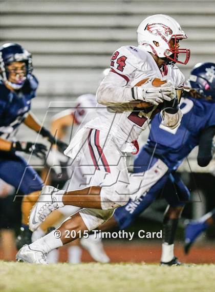 Thumbnail 1 in Stoneman Douglas @ Taravella photogallery.