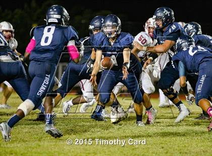 Thumbnail 1 in Stoneman Douglas @ Taravella photogallery.