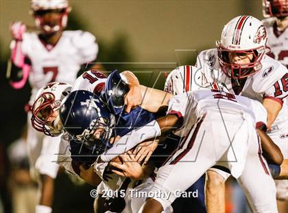 Thumbnail 2 in Stoneman Douglas @ Taravella photogallery.