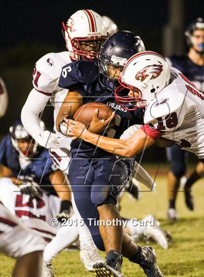 Thumbnail 3 in Stoneman Douglas @ Taravella photogallery.