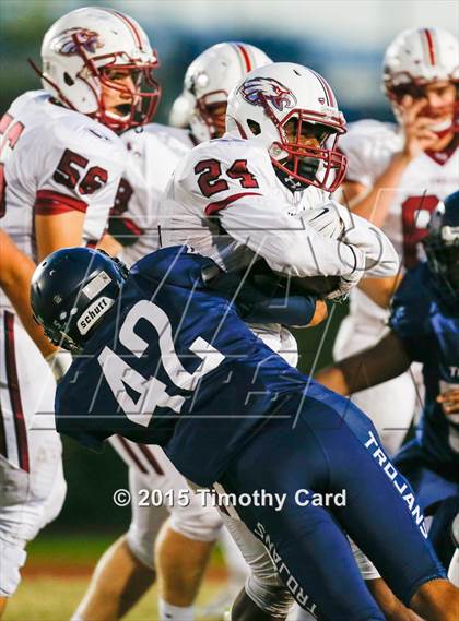 Thumbnail 3 in Stoneman Douglas @ Taravella photogallery.