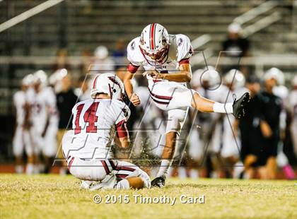 Thumbnail 1 in Stoneman Douglas @ Taravella photogallery.
