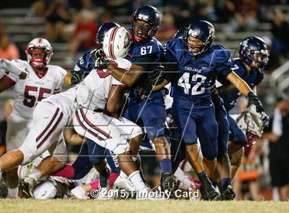 Thumbnail 3 in Stoneman Douglas @ Taravella photogallery.