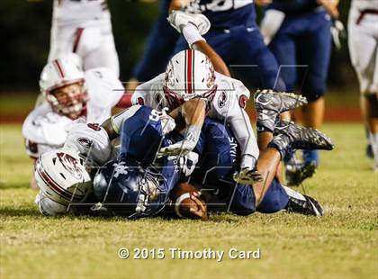 Thumbnail 2 in Stoneman Douglas @ Taravella photogallery.