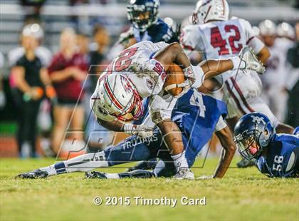 Thumbnail 1 in Stoneman Douglas @ Taravella photogallery.