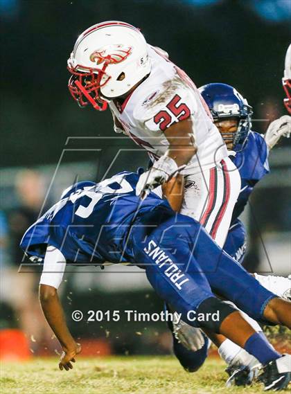 Thumbnail 1 in Stoneman Douglas @ Taravella photogallery.