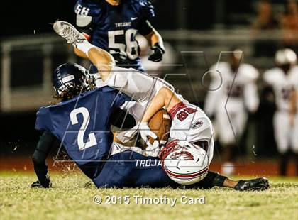 Thumbnail 1 in Stoneman Douglas @ Taravella photogallery.