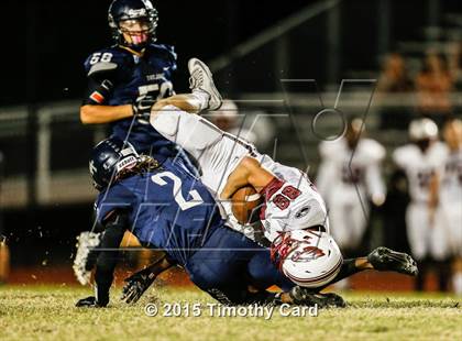 Thumbnail 3 in Stoneman Douglas @ Taravella photogallery.