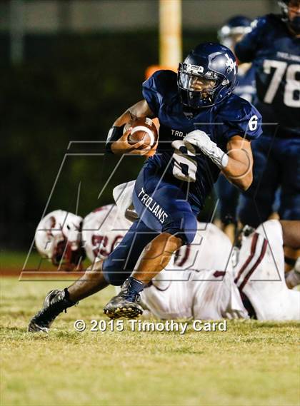 Thumbnail 1 in Stoneman Douglas @ Taravella photogallery.