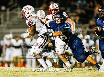 Thumbnail 1 in Stoneman Douglas @ Taravella photogallery.