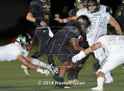 Thumbnail 2 in Poly vs Narbonne  photogallery.