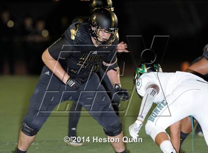 Thumbnail 3 in Poly vs Narbonne  photogallery.