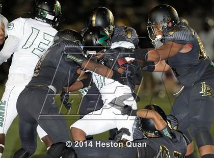 Thumbnail 1 in Poly vs Narbonne  photogallery.