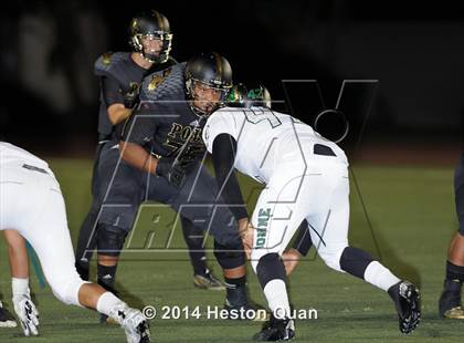 Thumbnail 3 in Poly vs Narbonne  photogallery.