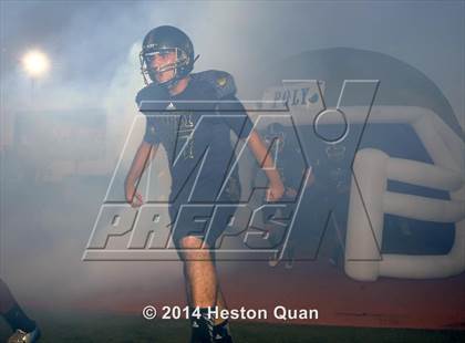 Thumbnail 2 in Poly vs Narbonne  photogallery.