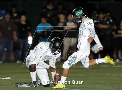 Thumbnail 2 in Poly vs Narbonne  photogallery.