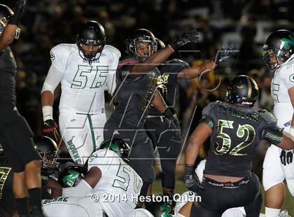 Thumbnail 2 in Poly vs Narbonne  photogallery.