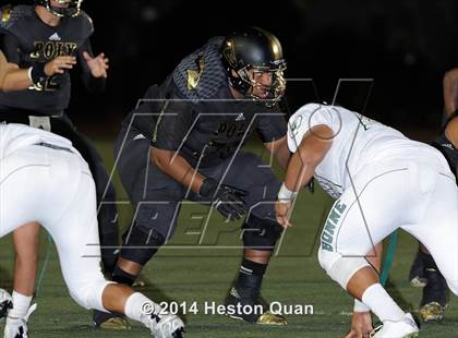 Thumbnail 3 in Poly vs Narbonne  photogallery.