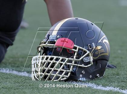 Thumbnail 1 in Poly vs Narbonne  photogallery.