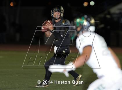 Thumbnail 2 in Poly vs Narbonne  photogallery.