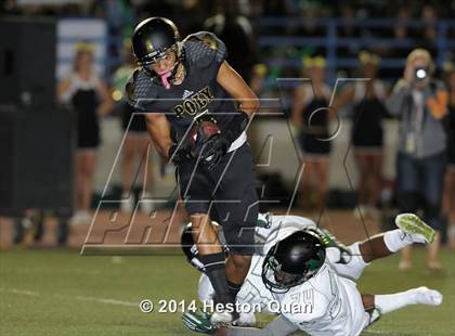 Thumbnail 2 in Poly vs Narbonne  photogallery.