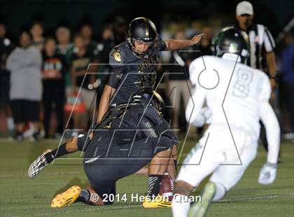 Thumbnail 2 in Poly vs Narbonne  photogallery.