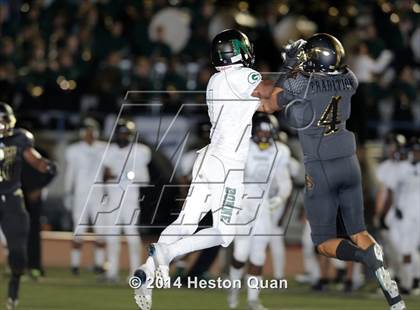 Thumbnail 1 in Poly vs Narbonne  photogallery.