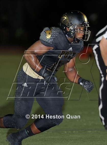 Thumbnail 2 in Poly vs Narbonne  photogallery.