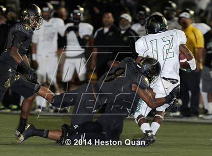 Thumbnail 1 in Poly vs Narbonne  photogallery.