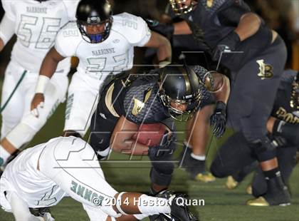 Thumbnail 1 in Poly vs Narbonne  photogallery.
