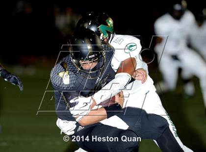 Thumbnail 1 in Poly vs Narbonne  photogallery.