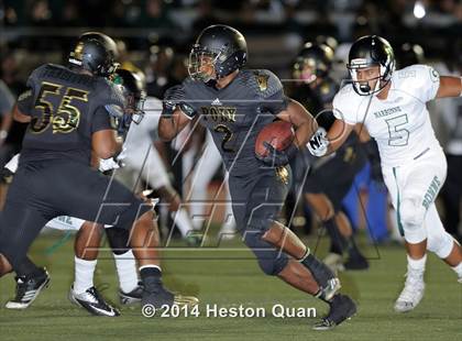 Thumbnail 3 in Poly vs Narbonne  photogallery.