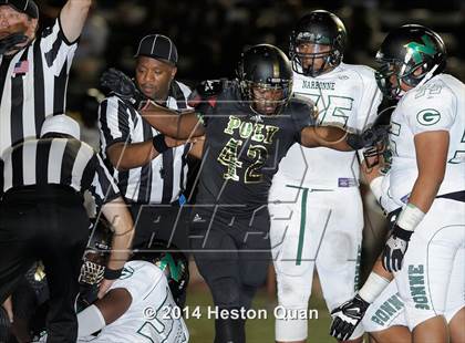 Thumbnail 3 in Poly vs Narbonne  photogallery.