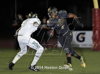 Thumbnail 3 in Poly vs Narbonne  photogallery.