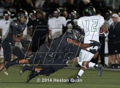 Thumbnail 3 in Poly vs Narbonne  photogallery.