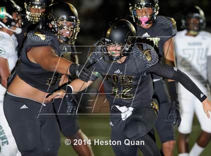 Thumbnail 1 in Poly vs Narbonne  photogallery.