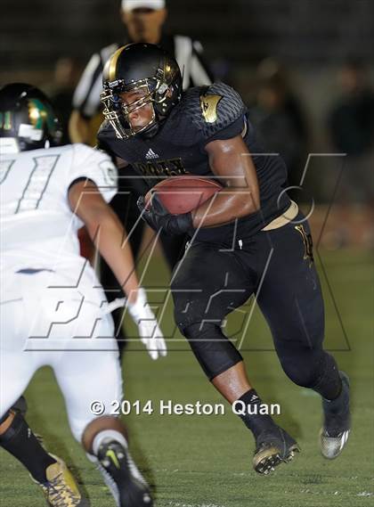 Thumbnail 1 in Poly vs Narbonne  photogallery.