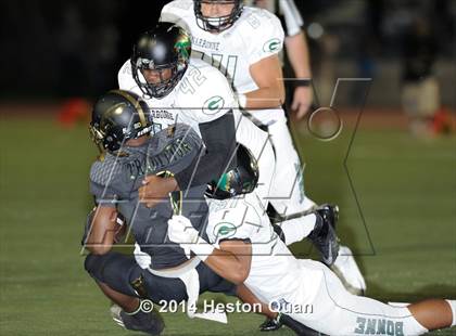 Thumbnail 2 in Poly vs Narbonne  photogallery.