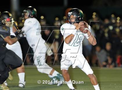 Thumbnail 3 in Poly vs Narbonne  photogallery.