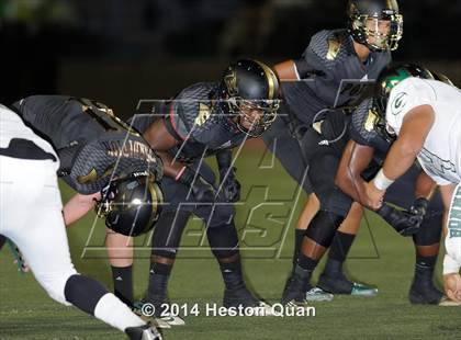 Thumbnail 2 in Poly vs Narbonne  photogallery.