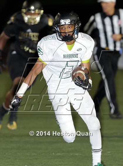 Thumbnail 2 in Poly vs Narbonne  photogallery.
